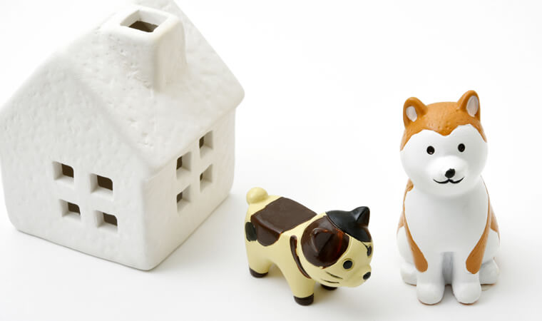 日本のペット飼育の現状と賃貸ニーズ